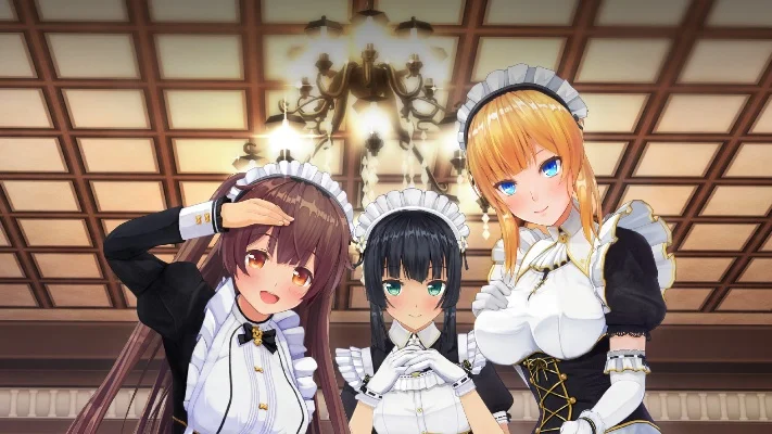 3d定制女仆2攻略　3d定制女仆2攻略1.43