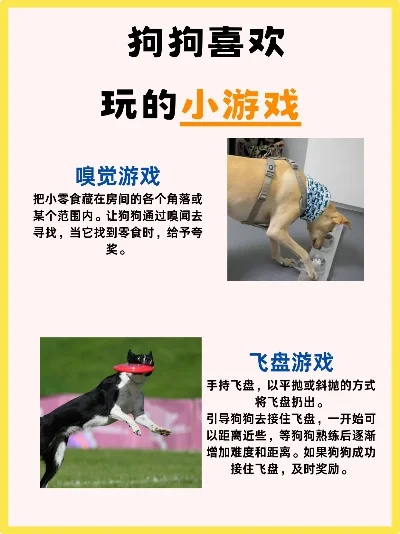 狗狗突击手游戏排行榜-狗狗突击手游戏精选
